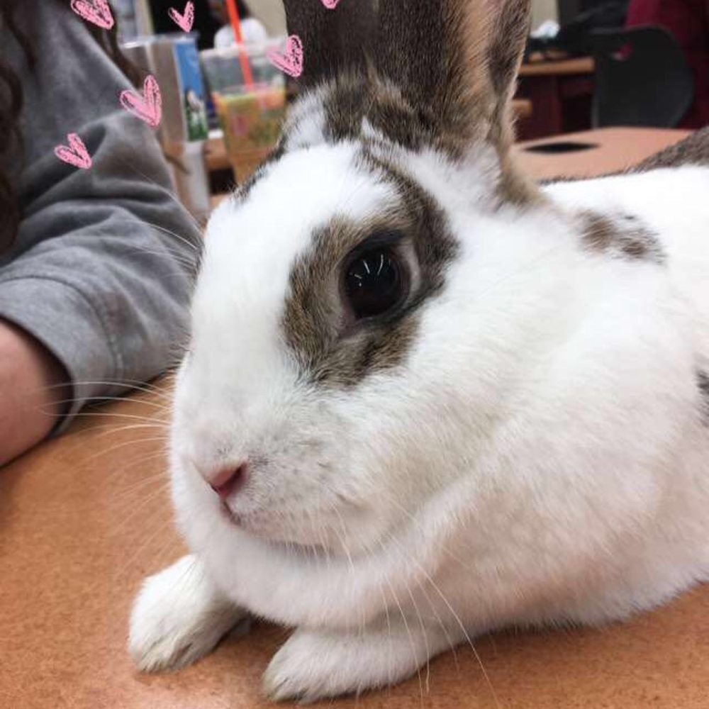 Meet your Posher, Mck